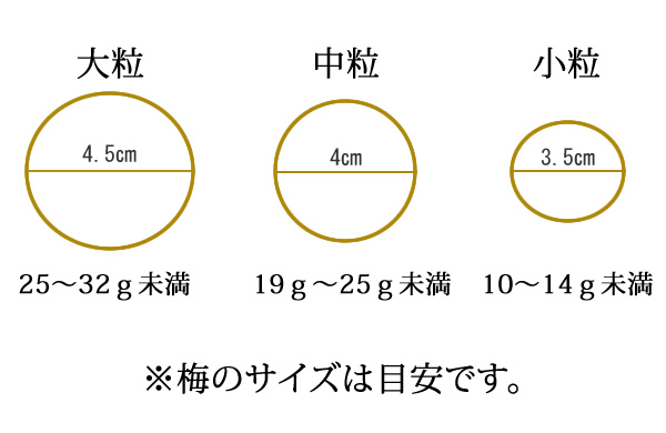 大人買い梅干しの一粒の大きさ目安